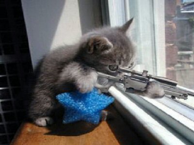 cha  alors. . . .